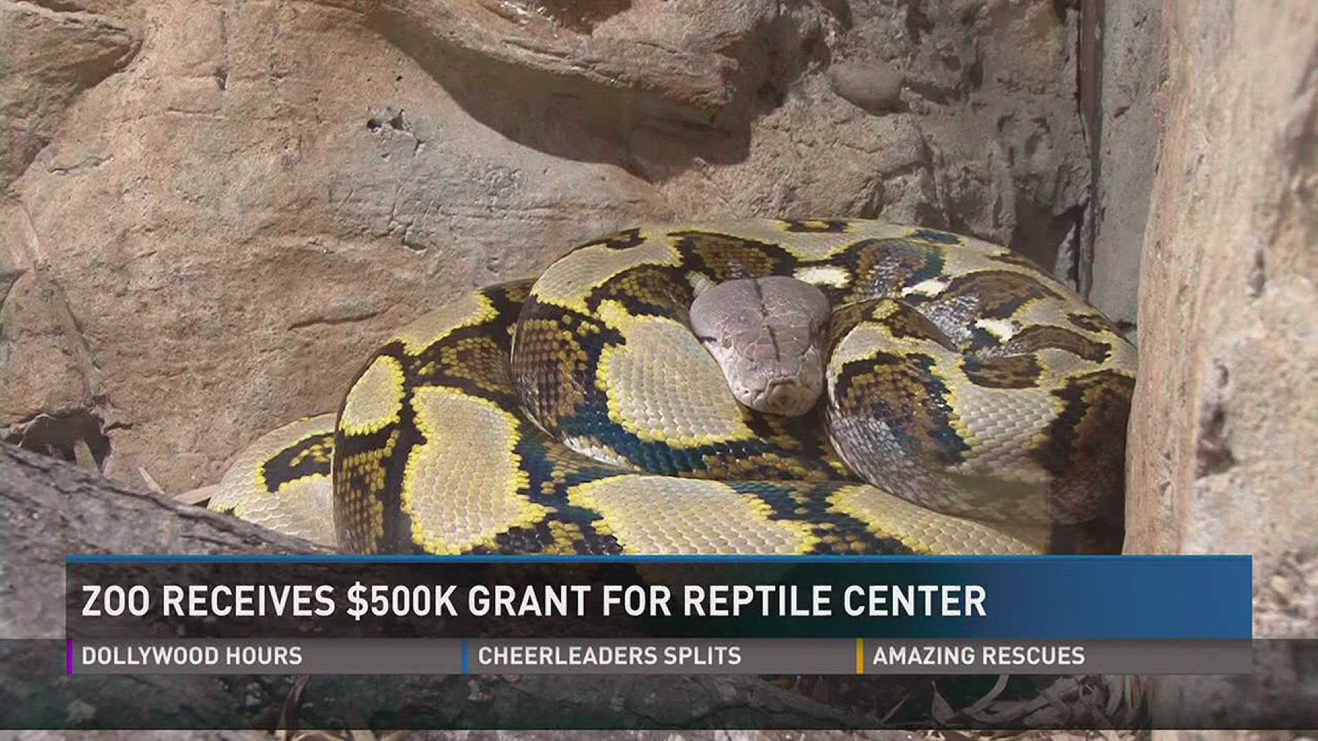 Zoo Knoxville receiving 500K for new reptile facility