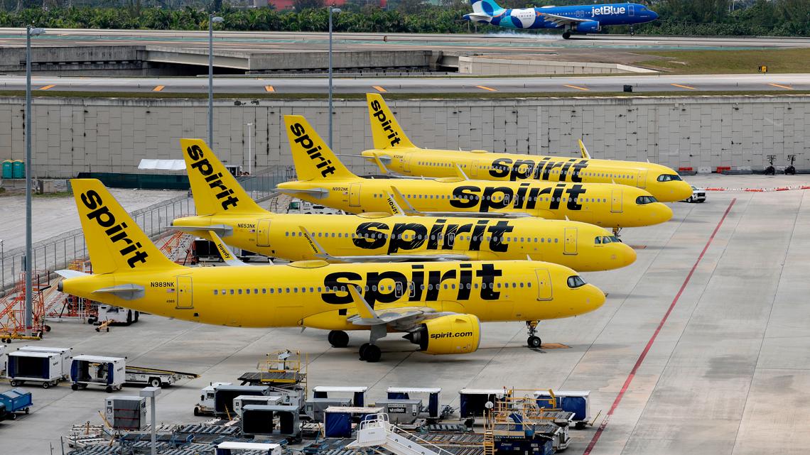 The flight attendants' union is asking the Department of Transportation to help Spirit employees.