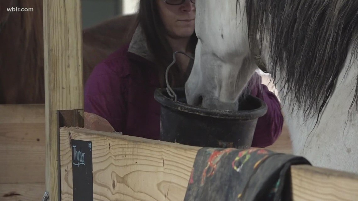 ‘Itu benar untuk saya’ |  Wanita menyelamatkan kuda dan keledai mini dari kebakaran hutan Sevier County