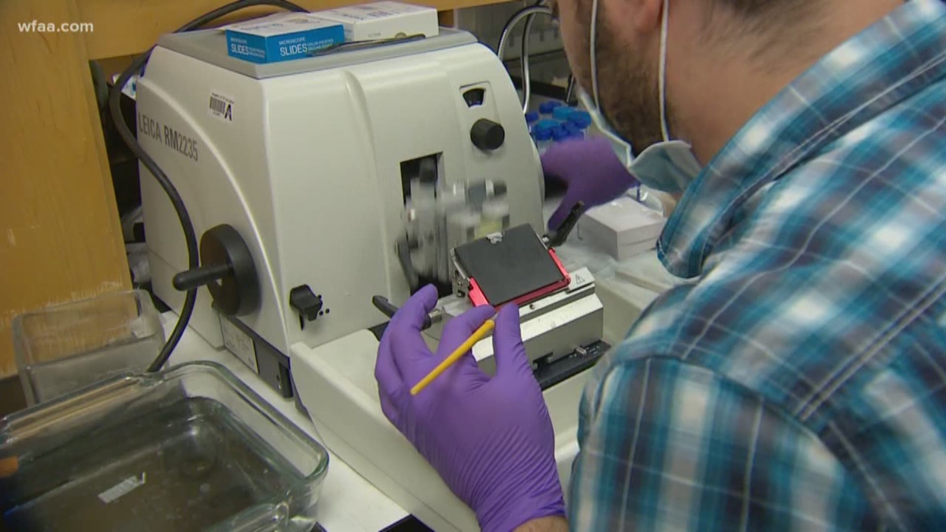 'Roach motel' for cancer cells: How UTA research could change cancer treatment