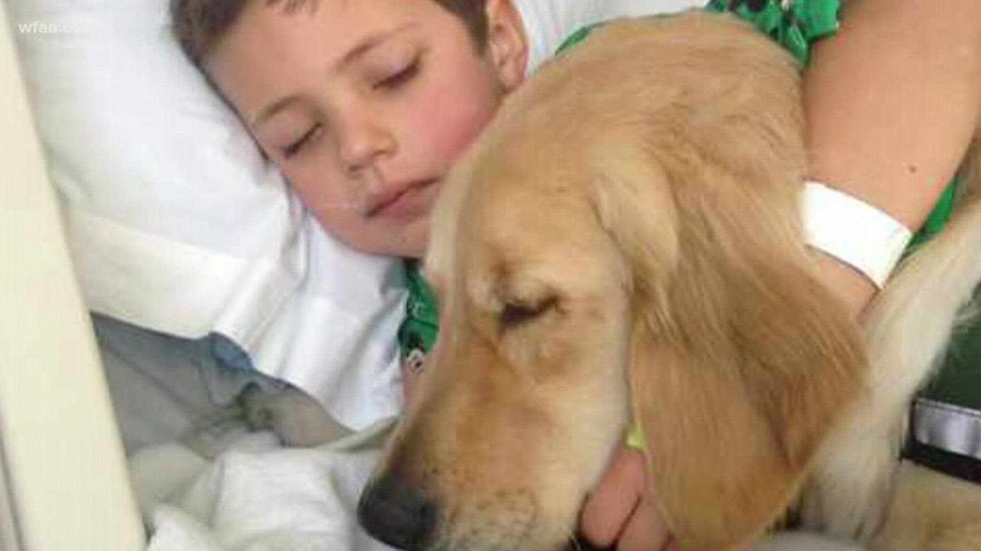 Boy becomes pen pals with therapy dog | khou.com