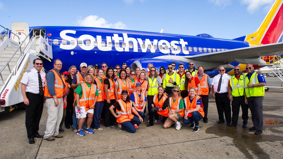 Southwest Airlines rescues 62 stray dogs, cats from Puerto Rico | khou.com