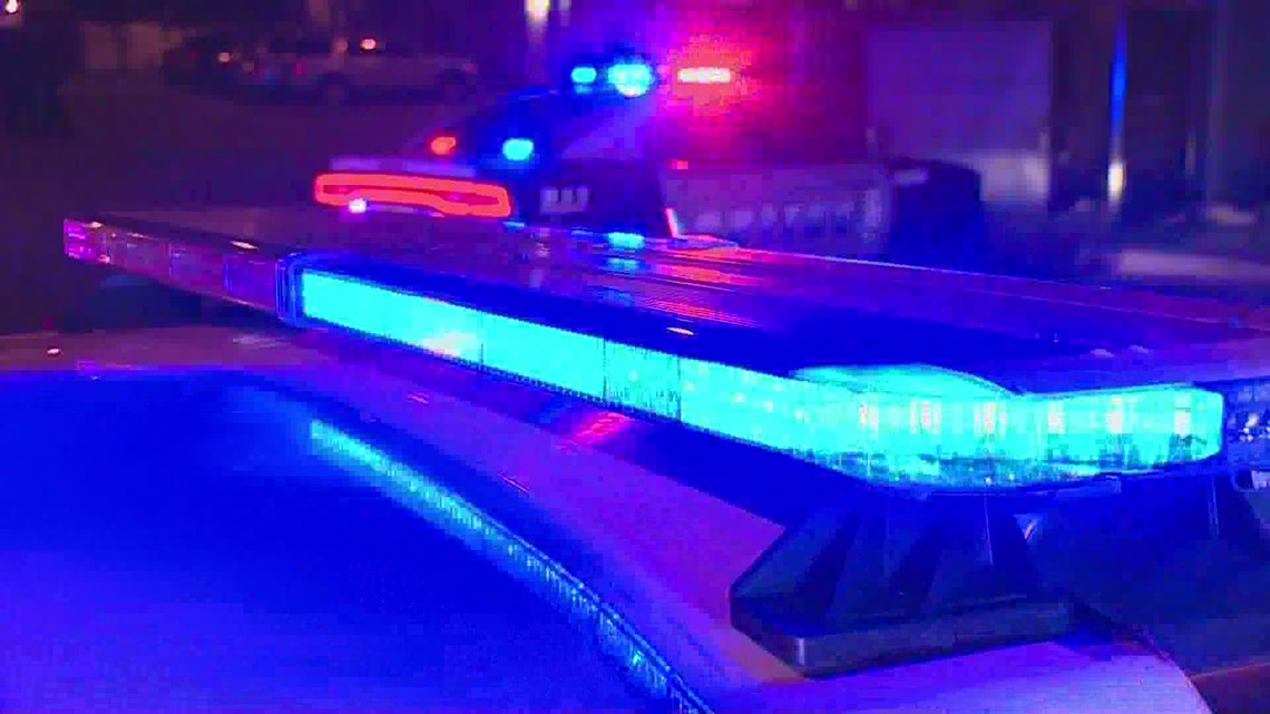 Dallas dog attack: 4-year-old girl killed - Vimarsana News