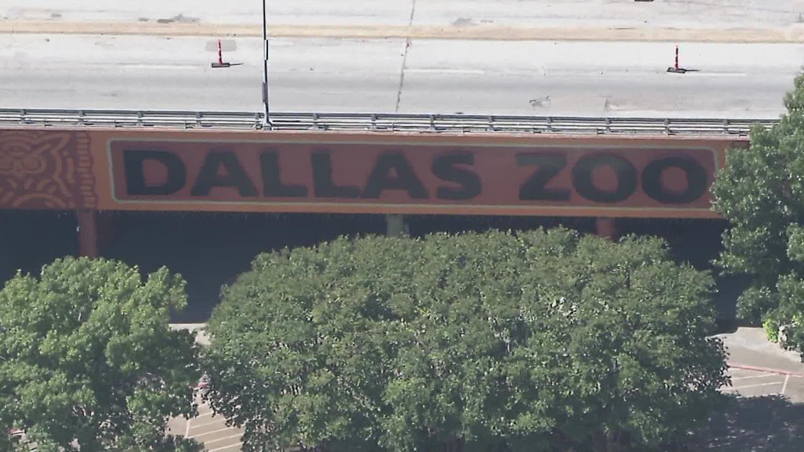Kematian burung bangkai Kebun Binatang Dallas: Polisi disiagakan