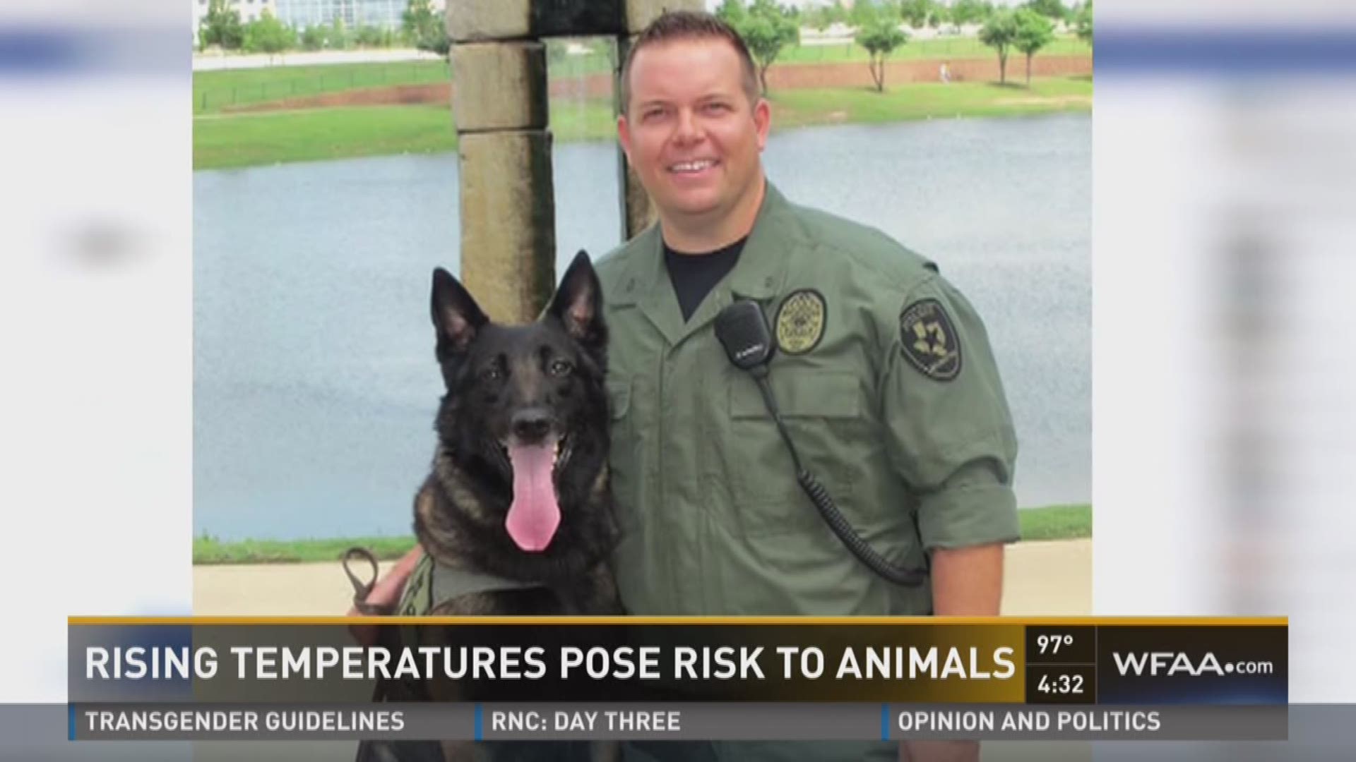 Rising temperatures pose risk to animals