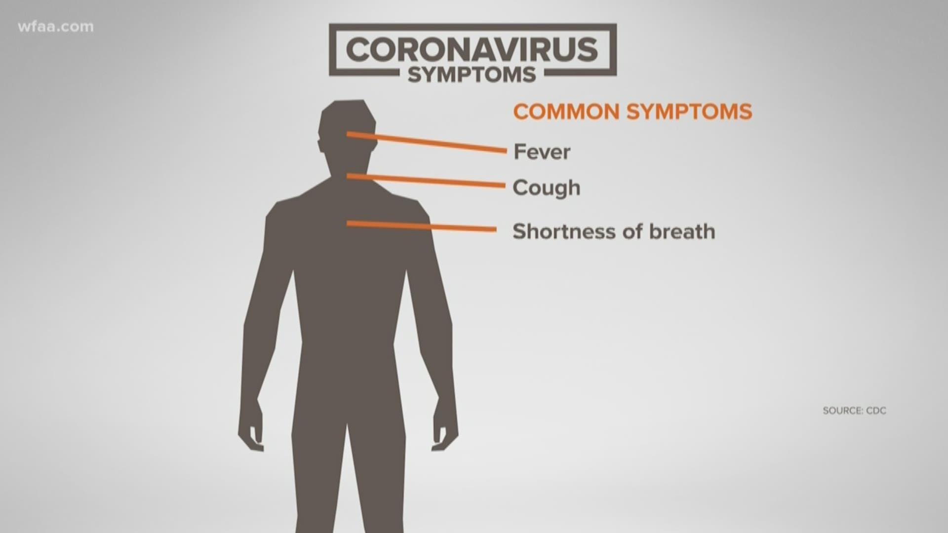 With around 80,000 confirmed cases of the novel coronavirus worldwide, searches for information about the outbreak have jumped.
