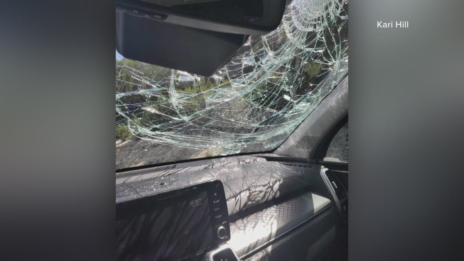 Kari Hill says her family was touring the animal facility when a giraffe peeked its head through her car's sunroof, lost its footing and fell onto her windshield.