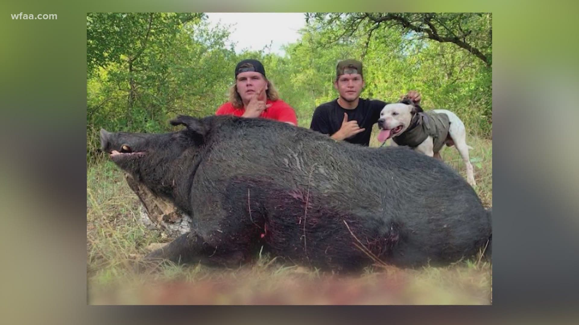 "It might have been the biggest hog we've been upon," Colton Roberts said. "But never expected to catch one that big."