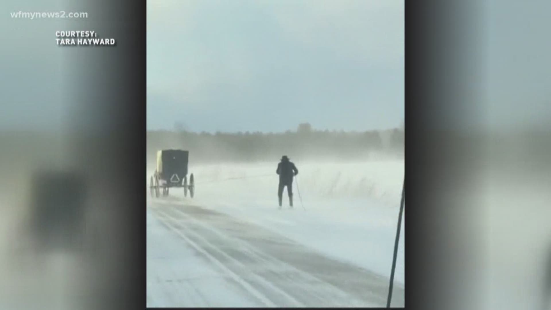 Viral Video: Michigan Man Skis Behind Amish Buggy