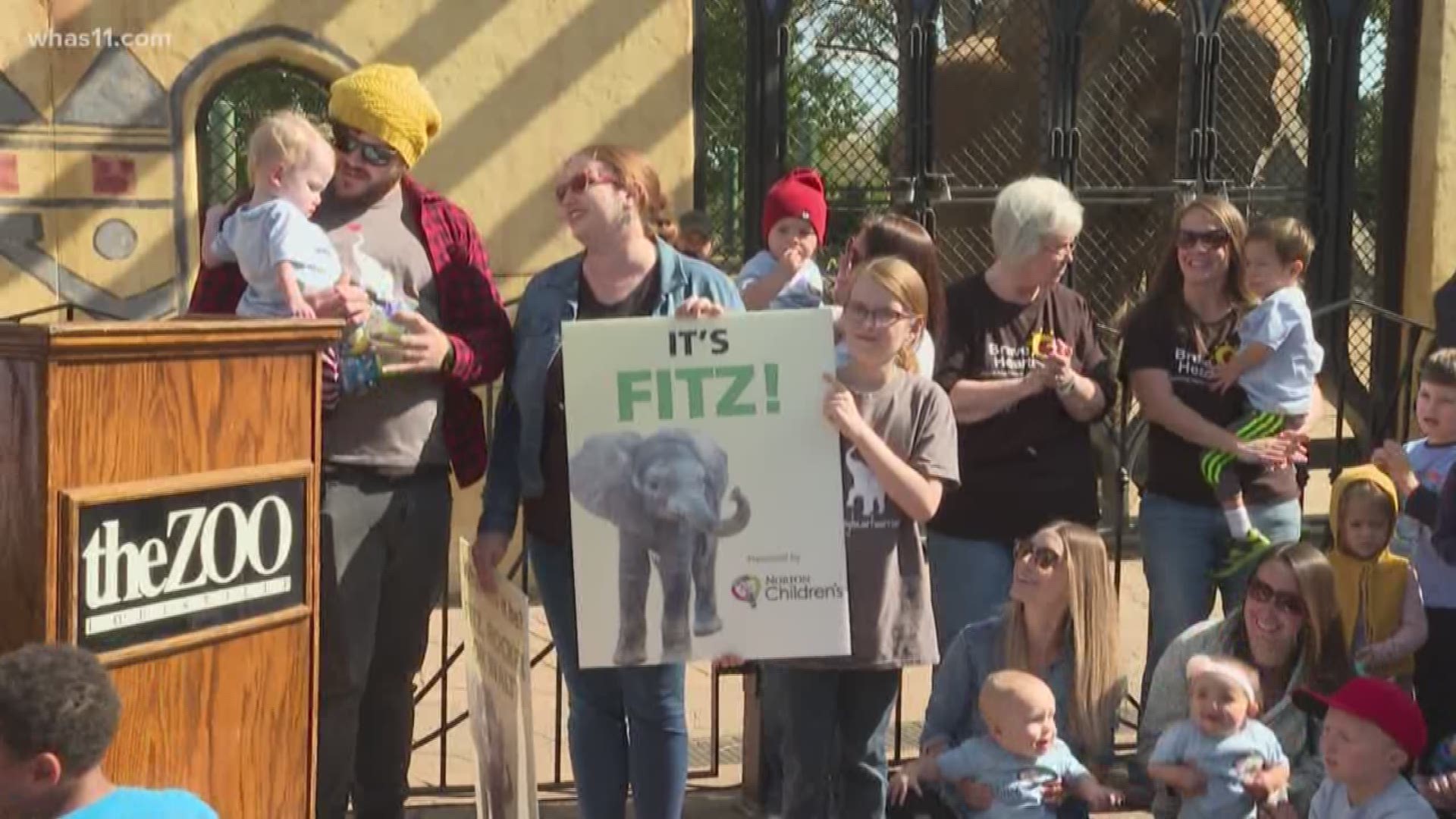 The Louisville Zoo named the new baby elephant, Fitz