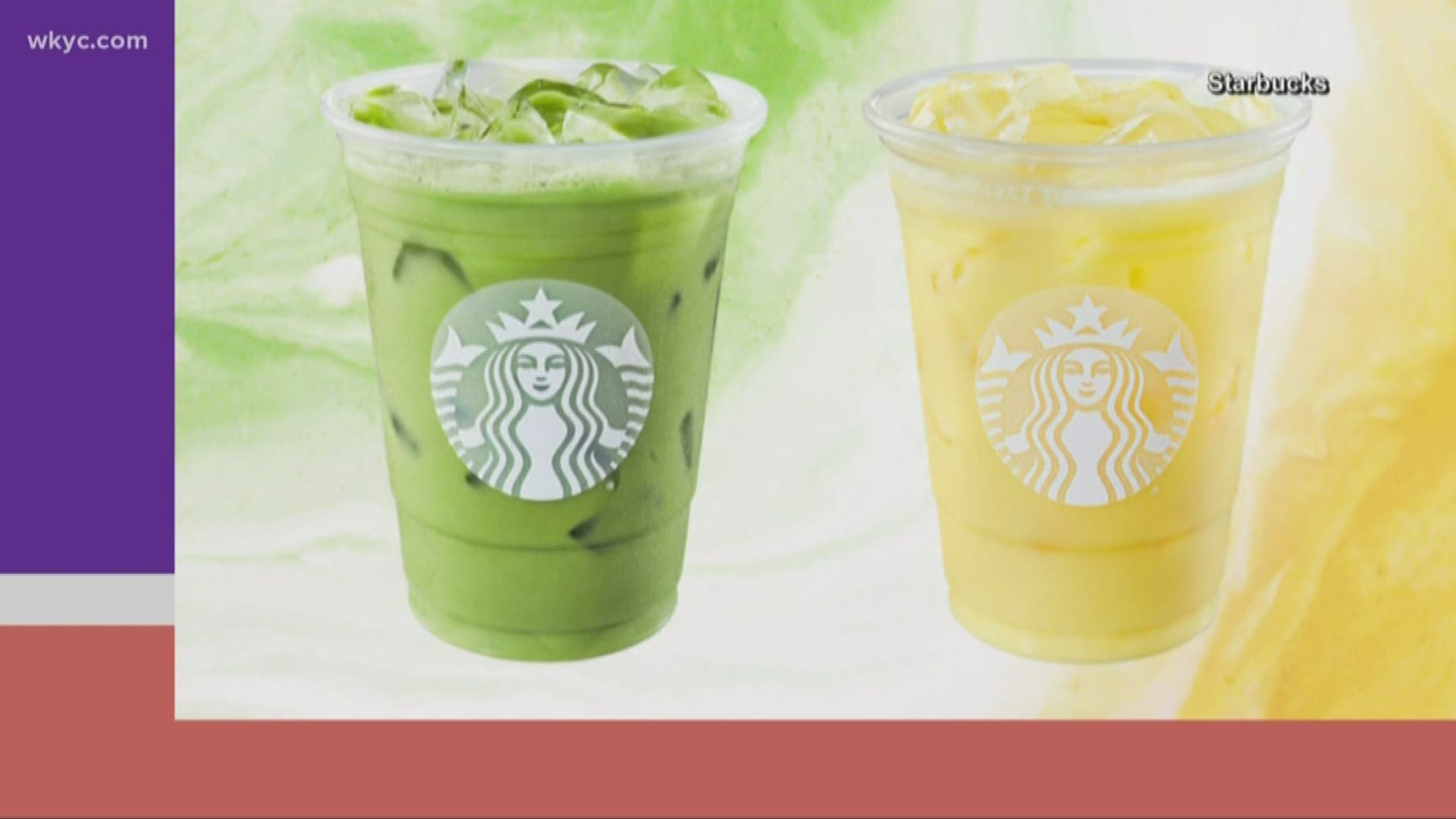 Spring is just around the corner! These are the new seasonal drinks from Starbucks!