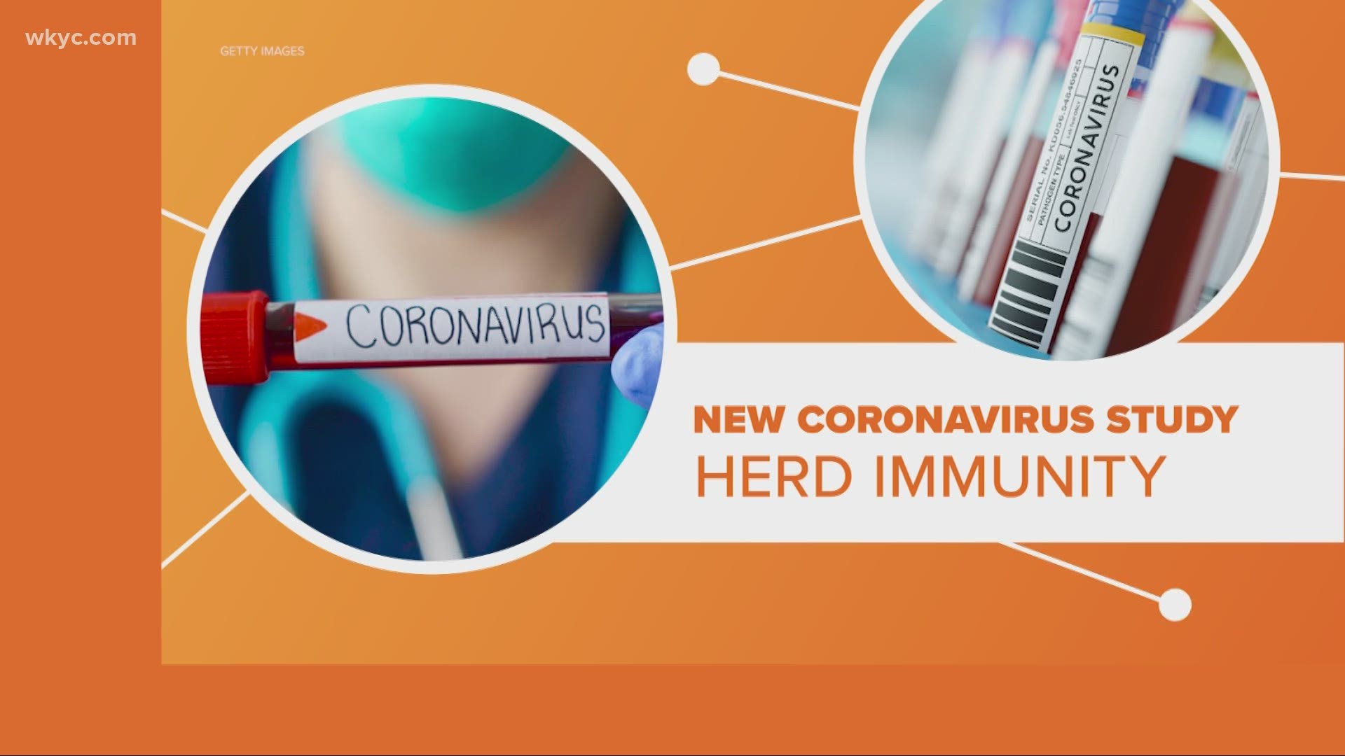 No traces of COVID-19 herd immunity yet, WHO top scientist ...