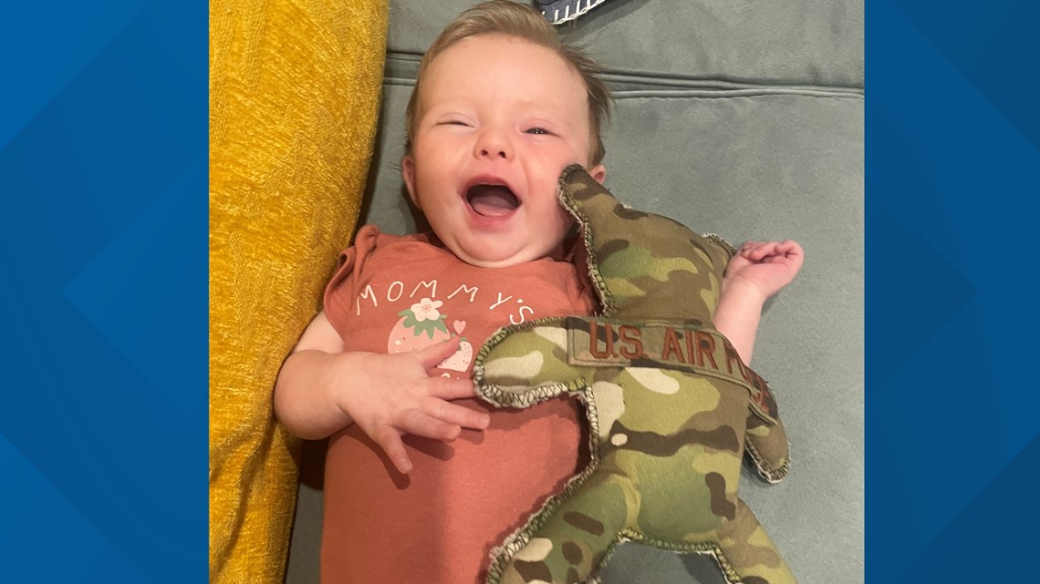Stuffed military bear travels hundreds of miles back to owner - Vimarsana News
