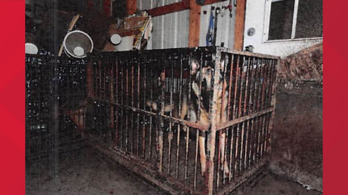 Indiana breeders face nearly 2 dozen charges for animal cruelty - Vimarsana News