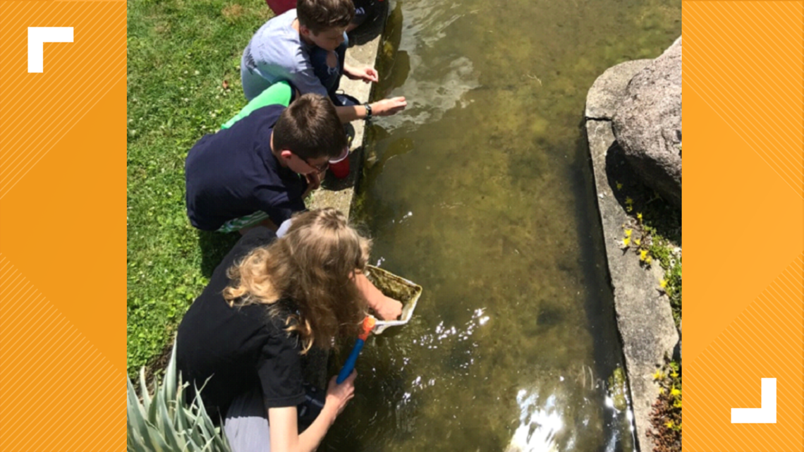 Summer camps 2021 in northwest ohio - Vimarsana News