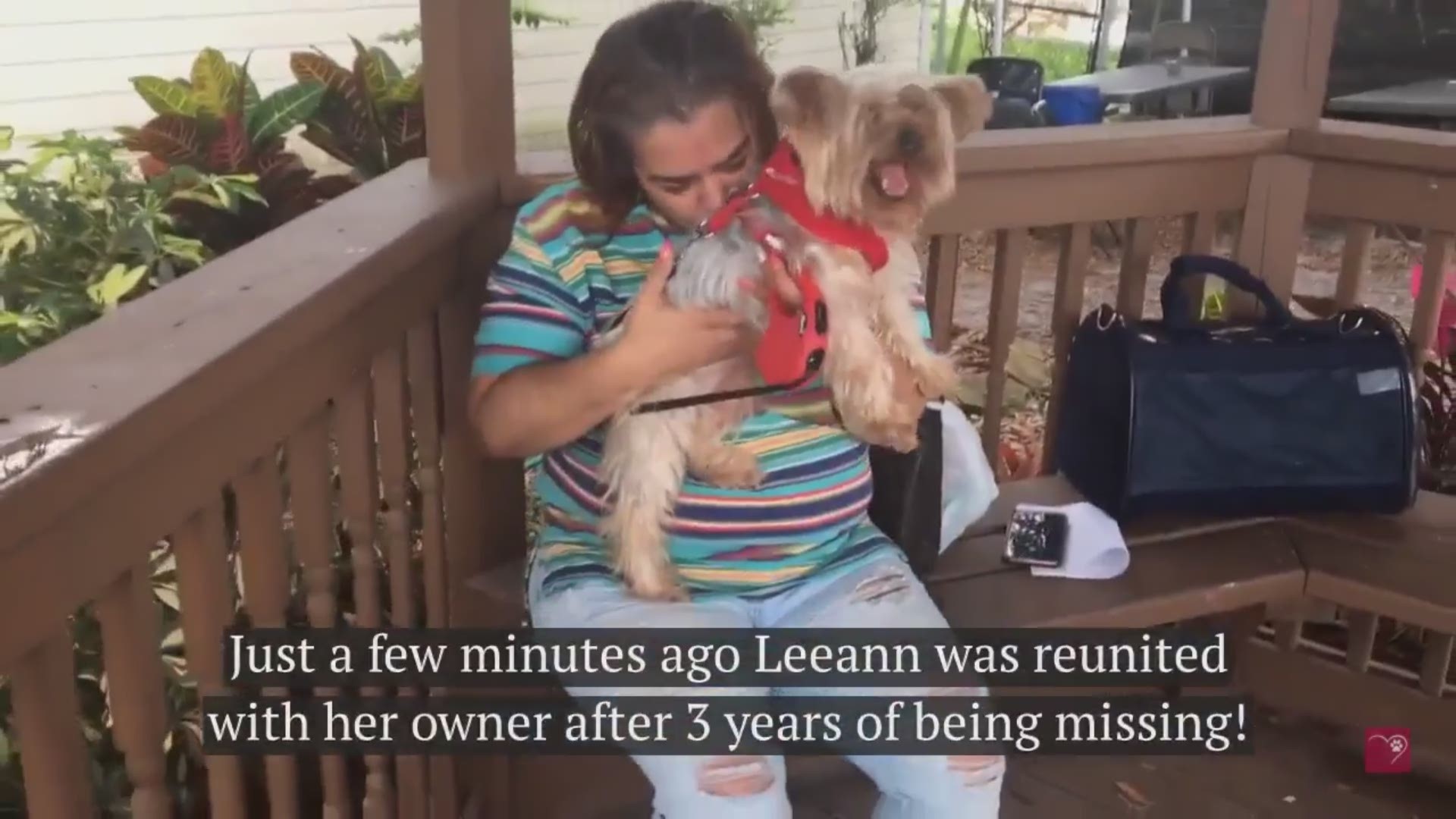 The 11-year-old dog wandered off after her family moved from New York to New Jersey.