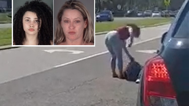 Woman beaten up after deputies say she was dragged out of car