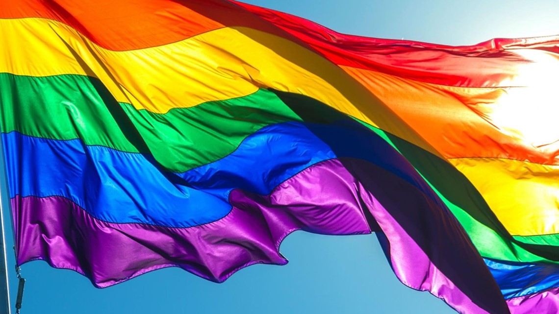 Schedule: St. Pete Pride Month 2022 - Vimarsana News
