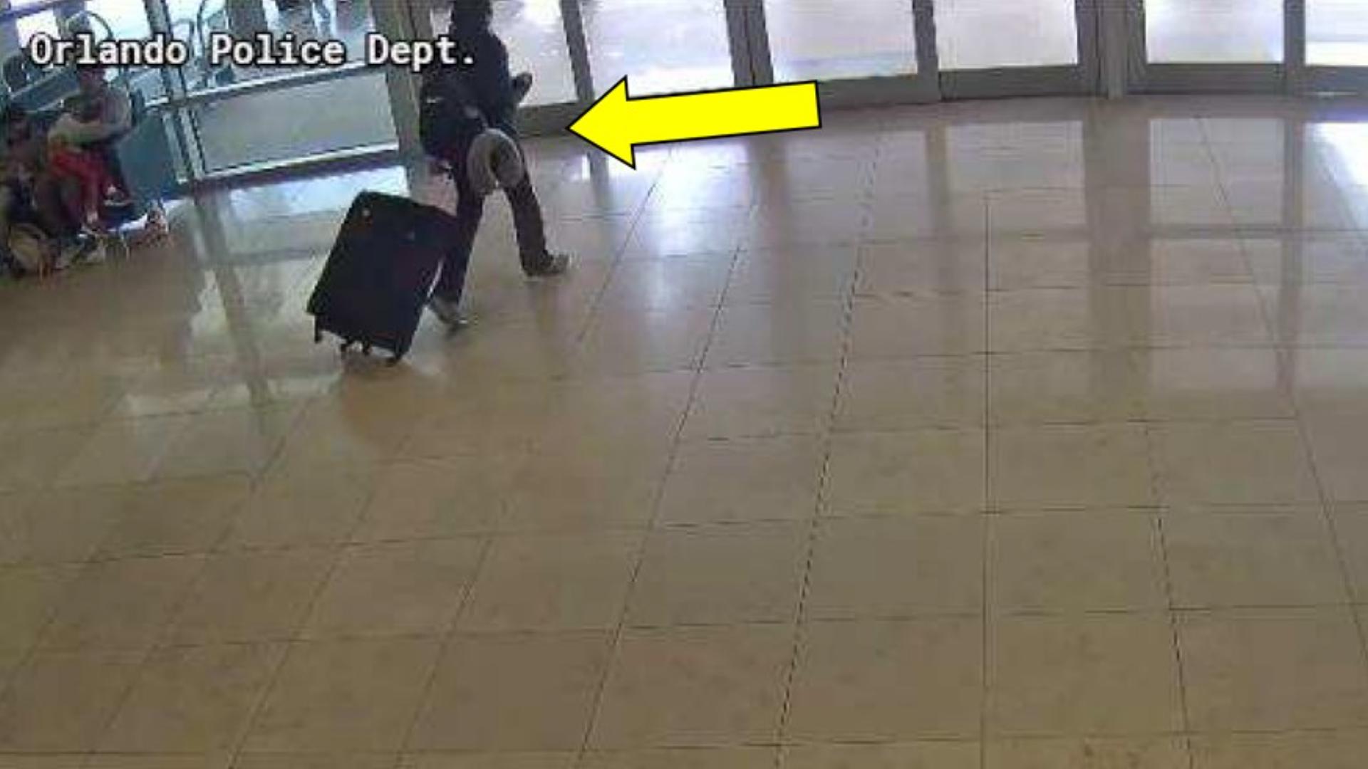 Florida woman drowned dog in airport bathroom after denied boarding ...