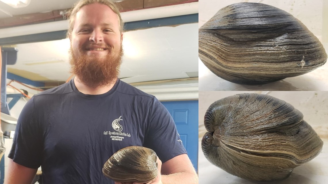 Pria Florida menemukan kerang besar yang diperkirakan berumur 214 tahun