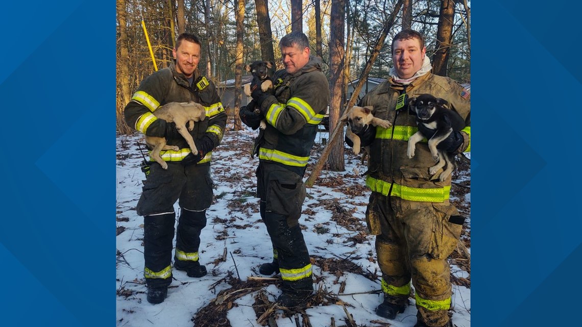 Petugas pemadam kebakaran Muskegon Co. menyelamatkan 5 anak anjing dari kebakaran rumah